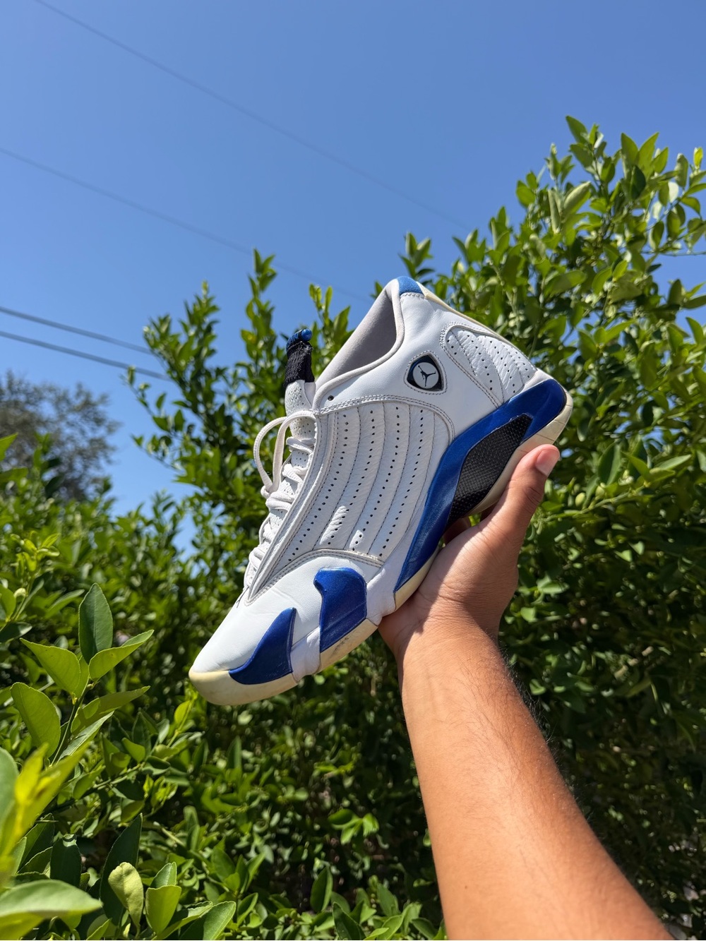 Air Jordan 14 Hyper Royal